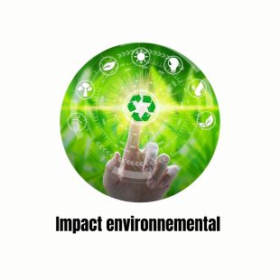 Réduction de l’impact environnemental du secteur du bricolage grâce à la valorisation des invendus via BricoGaspi